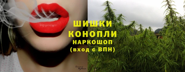 гидра Кинешма