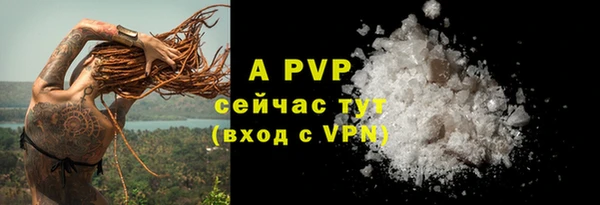 прущие грибы Киреевск