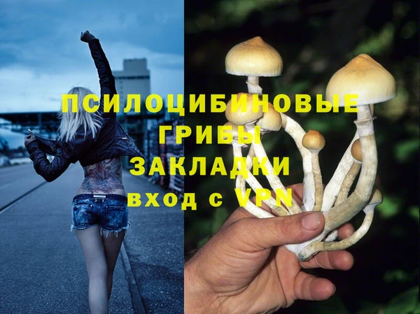 apvp Киренск