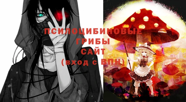 apvp Киренск