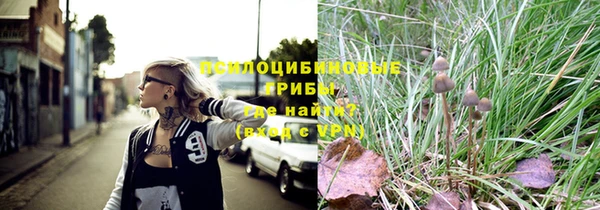 прущие грибы Киреевск