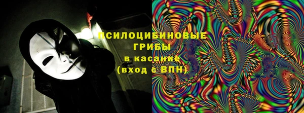 прущие грибы Киреевск