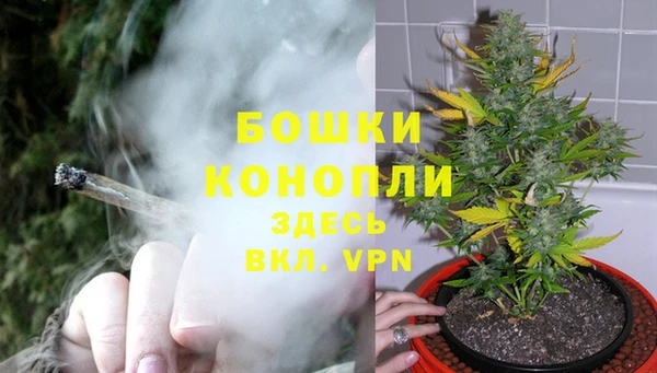 гидра Кинешма