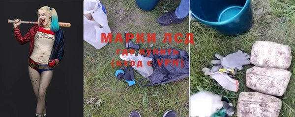 гидра Кинешма